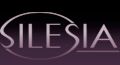 SILESIA - Wynajem lokali biurowych